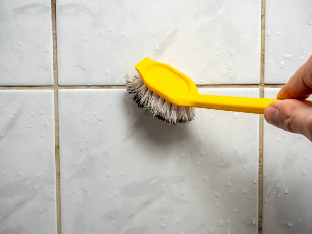  Terrell Hills, TX Mold Removal Pros