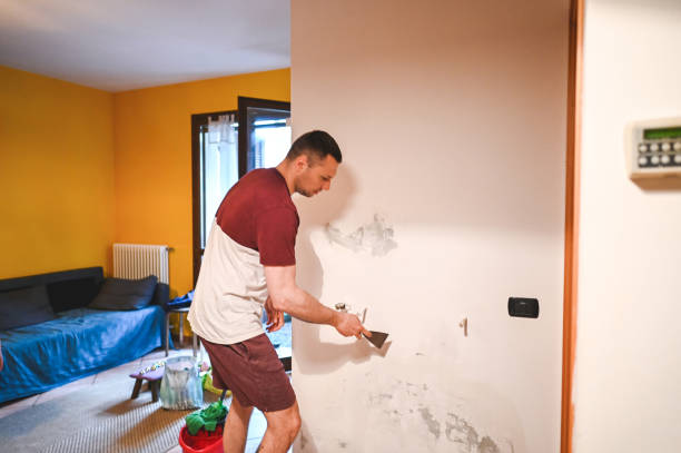 Best Commercial Mold Remediation in Terrell Hills, TX